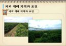 커피의 모든 것-1 31페이지