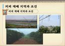 커피의 모든 것-1 32페이지