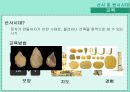 고대 체육사 발표자료 3페이지