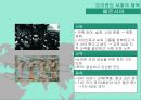 고대 체육사 발표자료 12페이지