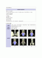성인간호학케이스 척추관협착증(Spinal stenosis) - 통증, 피부손상위험성, 낙상위험성 8페이지