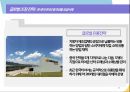 글로벌경영기업의 마케팅 전략 소개 및 성공사례 41페이지