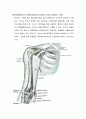 말초삽관중심도관 간호(peripherally inserted central catheter, PICC) 2페이지