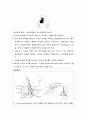 중심정맥관 간호(central venous catheter, CVC) 5페이지