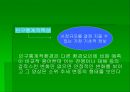 마케팅 조사의 전체적 이해 문제의 규명 17페이지