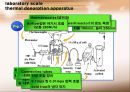 [환경오염학]Decontamination(오염물제거-PPT) 6페이지