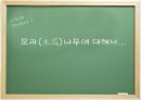 모과나무의 식물학적 형태 및 특징과 활용(모과) 1페이지