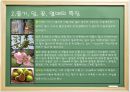 모과나무의 식물학적 형태 및 특징과 활용(모과) 9페이지