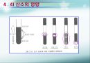 미생물과 환경 8페이지