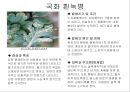 식물의 병충해 피해 21페이지