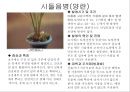 식물의 병충해 피해 26페이지