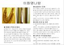 식물의 병충해 피해 52페이지