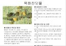 식물의 병충해 피해 53페이지