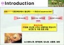 식물추출물의 항균 및 항산화효과 3페이지