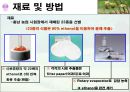 식물추출물의 항균 및 항산화효과 5페이지