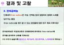 식물추출물의 항균 및 항산화효과 12페이지