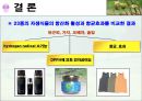 식물추출물의 항균 및 항산화효과 19페이지
