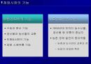 재례시장의 운영 및 활성화방안과 성공사례1 5페이지