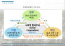 북유럽국가, 아시아권 이슬람국가정치,경제,문화 특성 23페이지