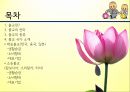 불교,佛敎, Buddhism,문화권 국가들의 특성 2페이지