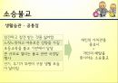 불교,佛敎, Buddhism,문화권 국가들의 특성 14페이지