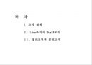 조직의 설계와 구조 2페이지