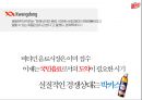 비타500의커뮤니케이션 전략 4페이지