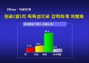 아침햇살 브랜드 재활성화 커뮤니케이션 전략 11페이지