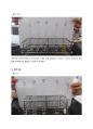 단백질 검출 보고서 3페이지