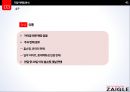 자이글 기업분석 41페이지