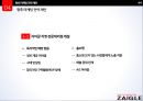 자이글 기업분석 44페이지