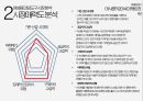 사전피임약 머시론 마케팅전략 사례분석 8페이지