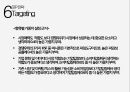 사전피임약 머시론 마케팅전략 사례분석 31페이지