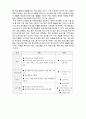(A+ 레포트,시험대비) [사회복지 프로그램 개발과 평가] 프로그램의 유형 4페이지