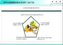 fitbit 기업분석 22페이지