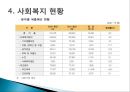 사회복지 현황과 문제점 18페이지