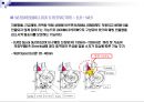 시트벨트 시스템의 이해 19페이지