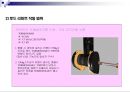 시트벨트 시스템의 이해 31페이지