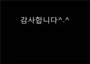 THE 통합적 방법론 24페이지