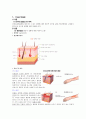 화상 case 1페이지
