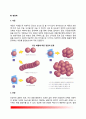 감염관리와 무균술 5페이지