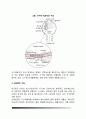 신장의 기능(신장의 배설기능 및 내분비기능) 6페이지