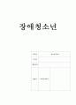 청소년복지론 장애청소년 보고서 1페이지