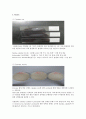 6 Catalase & Protease 효소 확인 시험(결과) 11페이지