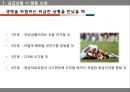 안전사고 예방과 처치 - 안전사고 예방 4페이지