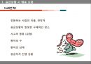 안전사고 예방과 처치 - 안전사고 예방 9페이지