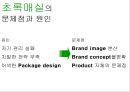 초록매실 Steady Seller Brand가 되기 위한 커뮤니케이션 전략 기획서 (커뮤니케이션 광고 전략) 10페이지