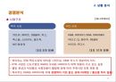 여성 타켓 과일맛 주류 하이주 마케팅전략 (여성 타켓 과일맛) 11페이지