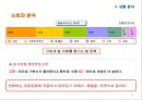 여성 타켓 과일맛 주류 하이주 마케팅전략 (여성 타켓 과일맛) 17페이지