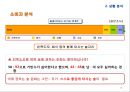 여성 타켓 과일맛 주류 하이주 마케팅전략 (여성 타켓 과일맛) 18페이지